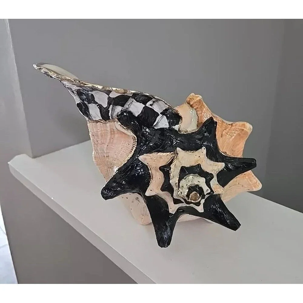 My Own Checkerboard Whimsical Large Vintage Conch Sea Shell Check